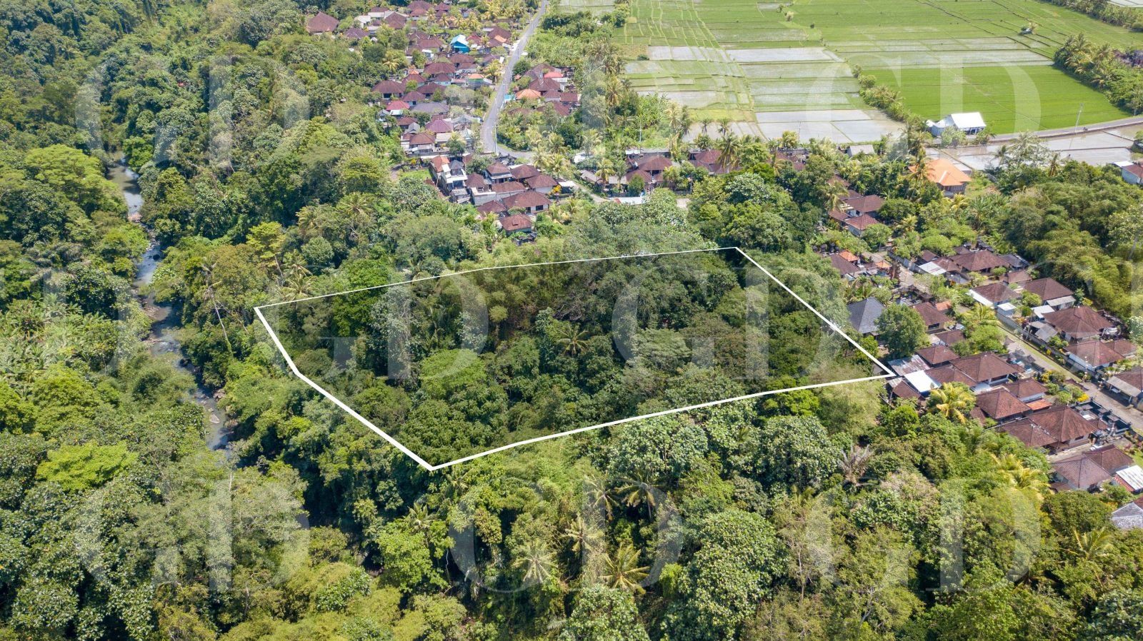 LUSH RIVERFRONT PLOT